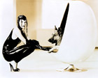 Thumbnail image for Egg Chair